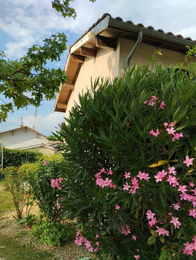 Bed and Breakfast L'Atelier Saint-Sulpice Entre Bordeaux Et St Emilion Esterno foto